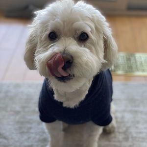 Meet your Posher, Leah